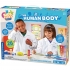 ערכת מדע לילדים גוף האדם