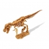 ערכת ארכיאולוגיה לחפירת שלד דינוזאור טירקס - בוקי