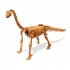 ערכת ארכיאולוגיה לחפירת שלד דינוזאור - ברכיוזאורוס, מבית בוקי צרפת